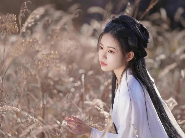 远方有佳人念尔在黄昏什么意思，远方有佳人,念尔在黄昏什么意思！