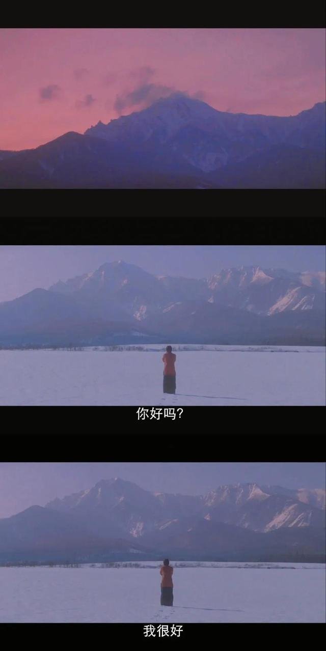 个人分享小故事及感悟，个人分享小故事及感悟最新！