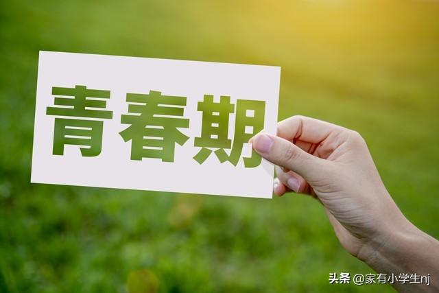 我想离家出走永远不回来父母就没有理解过我，我想离家出走永远不回来说说！