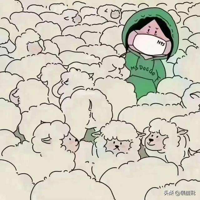 疫情的故事作文，我与疫情的故事作文！