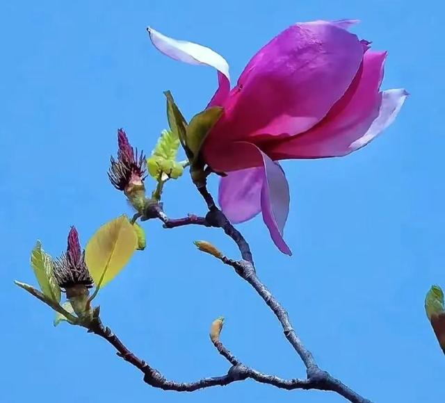 心什么理什么四字成语有哪些，心什么理什么填空！