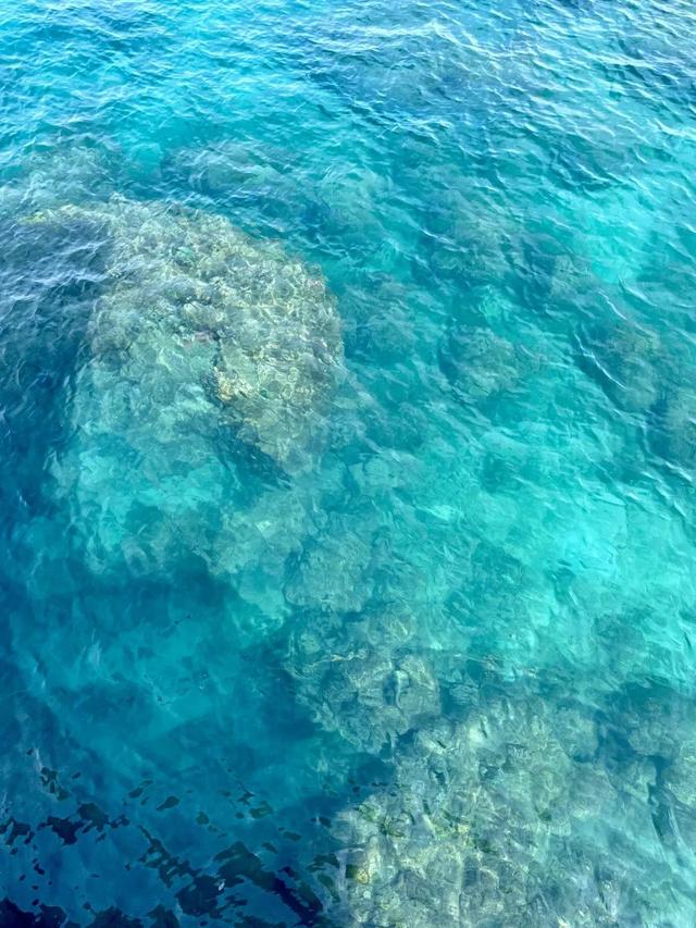 海南游记康养公寓怎么样收费，海南康养公寓哪家好！