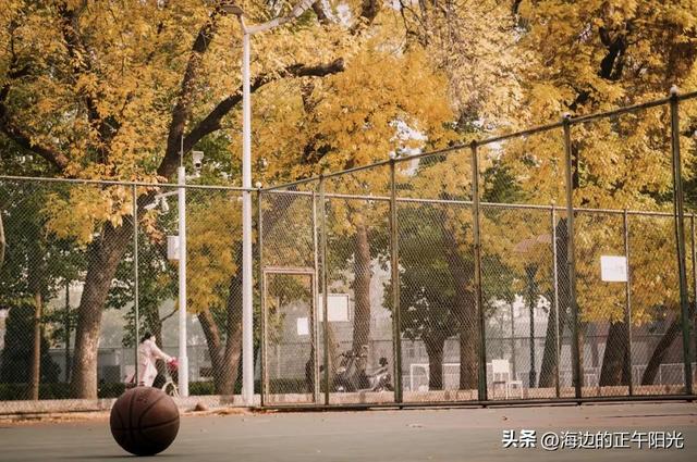 秋天的校园作文300字，秋天的校园作文300字三年级上册！