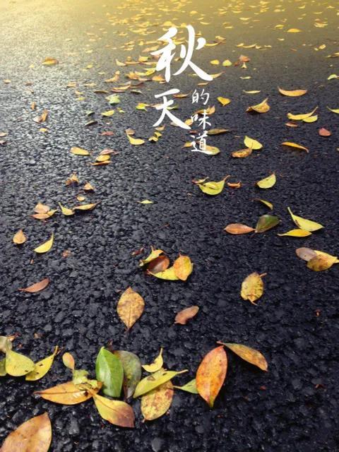 我的四季_张洁，我的四季_张洁课件！