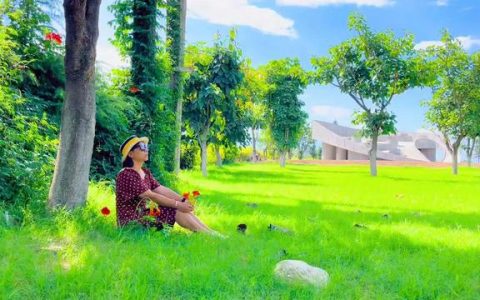 一个智慧、善良的妈妈，用真诚换来骗子的清醒和咸恩