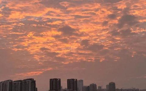 工厂实训心得，工厂实训心得体会800字左右！