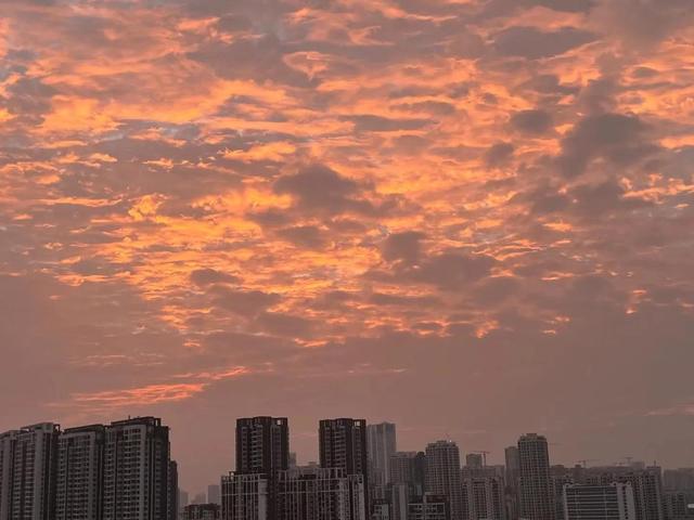 工厂实训心得，工厂实训心得体会800字左右！