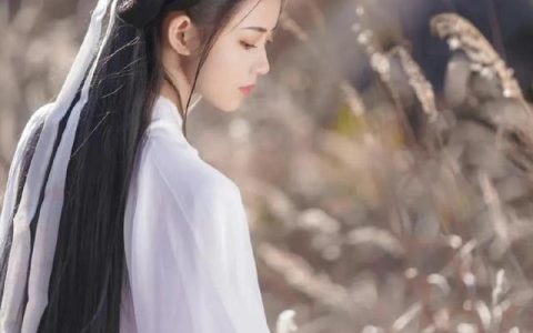 远方有佳人念尔在黄昏什么意思，远方有佳人,念尔在黄昏什么意思！