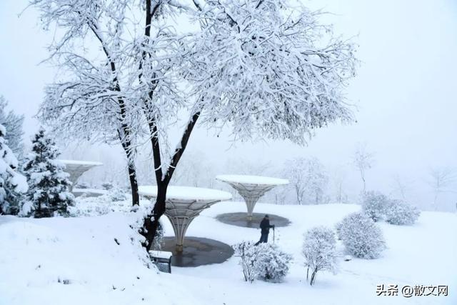 下雪啦,下雪啦,雪地来了小画家，下雪啦,下雪啦,雪地来了小画家仿写！
