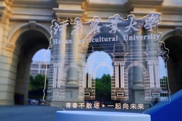 难忘的那一刻作文600字初中作文，《难忘的那一刻》作文600字！