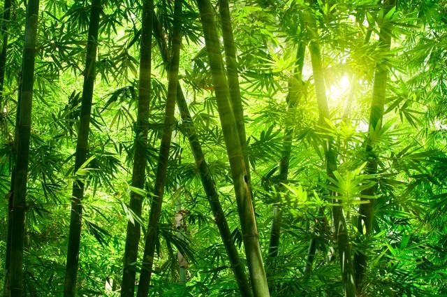 因为我爱你啊英文，因为我爱你啊英文翻译！