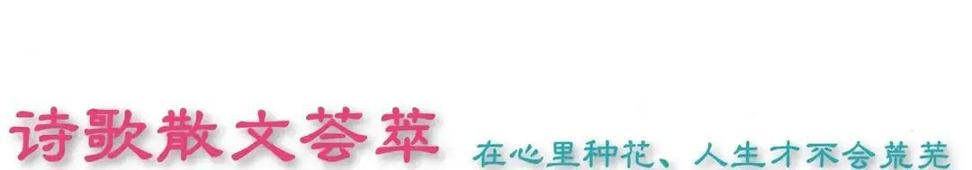 洁白造句一年级简单的，洁白造句一年级简单的句子！