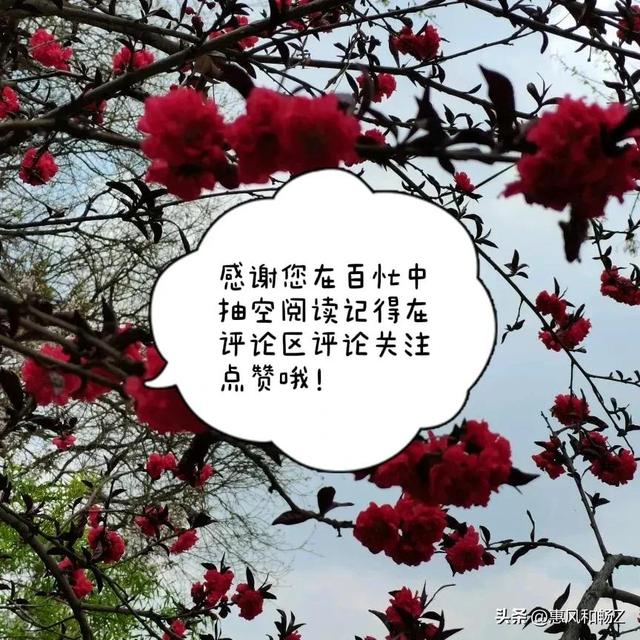苏幕遮翻译及原文，苏幕遮周邦彦翻译及原文！