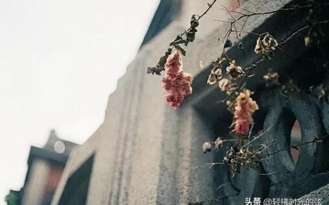 一家人的微信群名有创意知乎，一家人的微信群名字_创意！