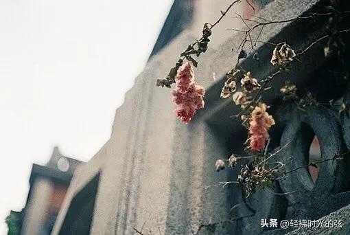 一家人的微信群名有创意知乎，一家人的微信群名字_创意！