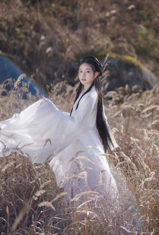 远方有佳人念尔在黄昏什么意思，远方有佳人,念尔在黄昏什么意思！