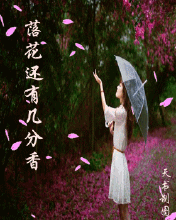 适合电台读的深夜美文，深夜情感电台推荐！
