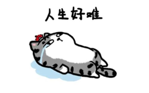 电信诈骗心得体会500字作文，电信诈骗心得体会500字教育！