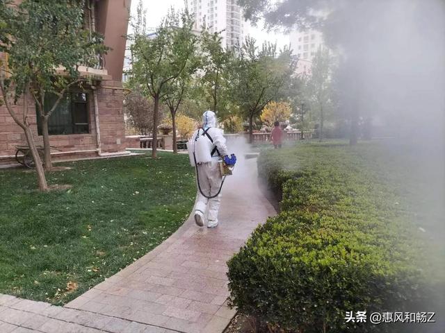 苏幕遮翻译及原文，苏幕遮周邦彦翻译及原文！