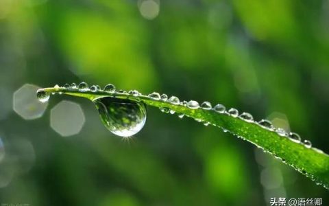 四季的雨阅读题及答案，四季的雨阅读题及答案长江作业！