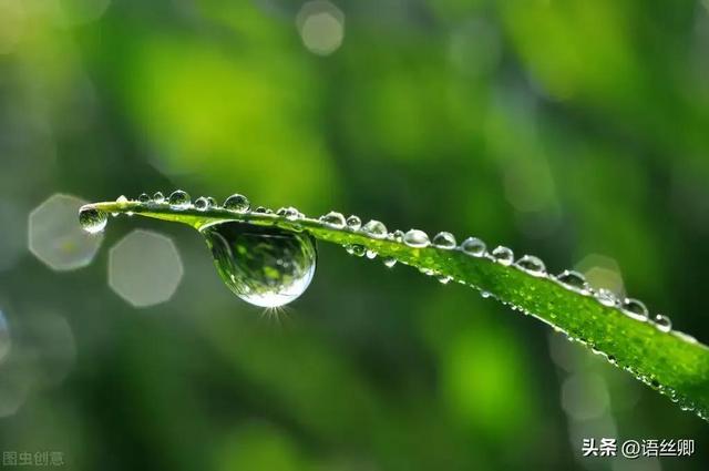 四季的雨阅读题及答案，四季的雨阅读题及答案长江作业！