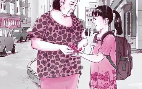 关于感恩的议论文800字高中，关于感恩的议论文800字高中作文！