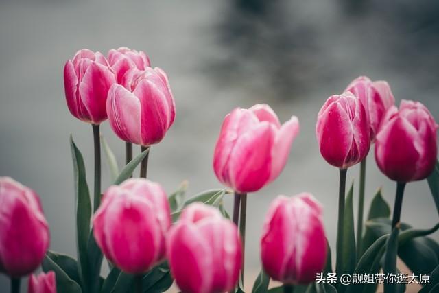 介绍我的家庭英语作文，介绍我的家庭英语作文带翻译！