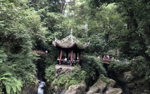 峨眉山游记作文800字，峨眉山游记作文800字初三！