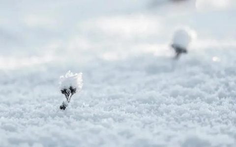 冬雪的诗句古诗，冬雪的诗句_古诗有哪些！