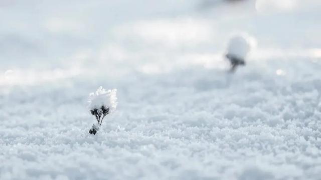 冬雪的诗句古诗，冬雪的诗句_古诗有哪些！