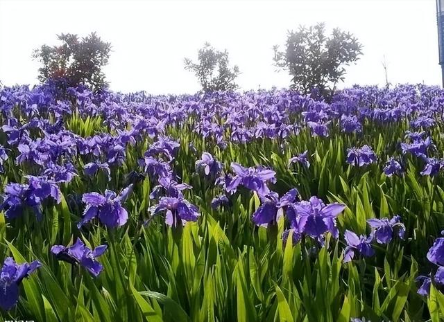 教师个人发展目标简短，小学教师个人发展目标简短！