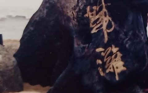 海南游记康养公寓怎么样，海南游记康养公寓怎么样啊！