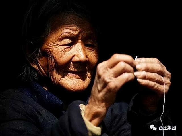 母亲的爱游戏电脑密码是多少，我最爱的母亲游戏攻略！