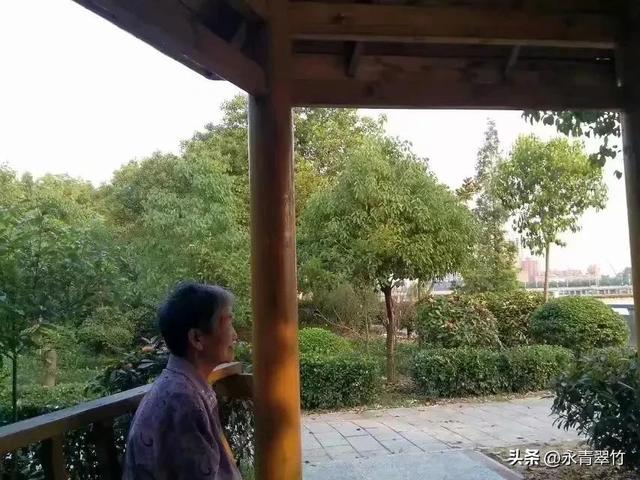 母爱作文200字左右，母爱作文200字优秀作文四年级