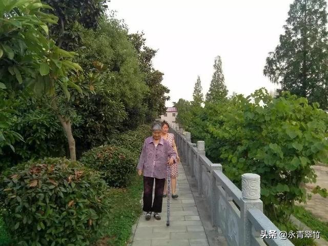 母爱作文200字左右，母爱作文200字优秀作文四年级
