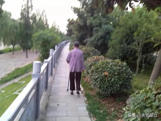 母爱作文200字左右，母爱作文200字优秀作文四年级