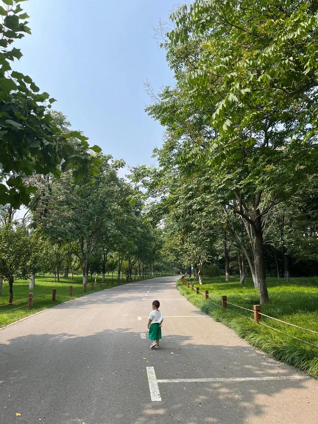 精彩极了和糟糕透了教学设计一等奖视频，慈母情深教学设计优秀教案