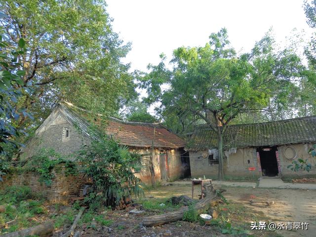 母爱作文200字左右，母爱作文200字优秀作文四年级