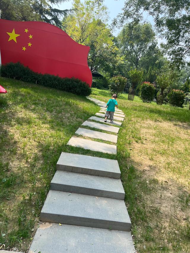 精彩极了和糟糕透了教学设计一等奖视频，慈母情深教学设计优秀教案