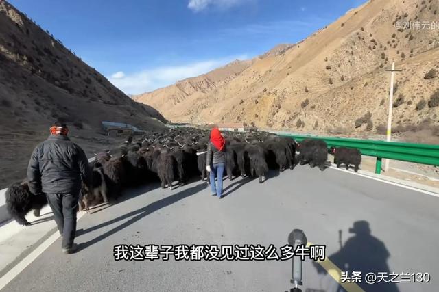 青海骑行路线,青海骑行路线推荐