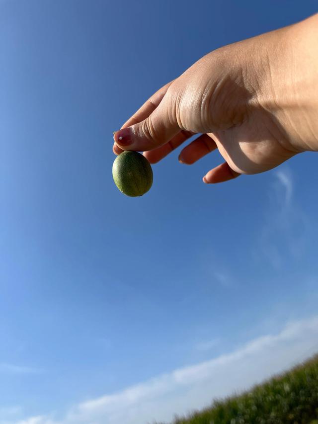 精彩极了和糟糕透了教学设计一等奖视频，慈母情深教学设计优秀教案