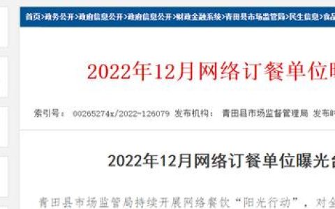 诺基亚n83，诺基亚1110