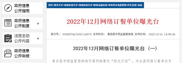 诺基亚n83，诺基亚1110