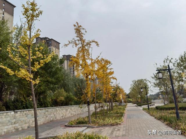 亲人寄语工地安全，安全寄语大全