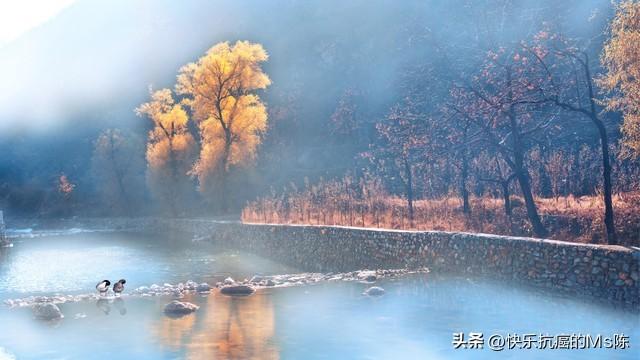 那一刻我没有崩溃作文600字初一，越来越努力的我600字作文