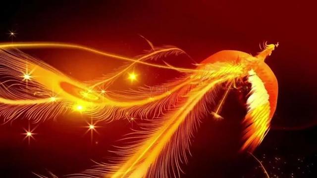 难忘一件事300字作文，关于感动的作文400字左右