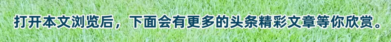 难忘的一课作文500字,难忘的一课作文500字左右