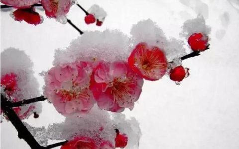 碰撞的作文600字，《碰撞》作文600字
