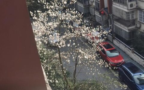 招商文案朋友圈素材，招商发朋友圈的精美句子