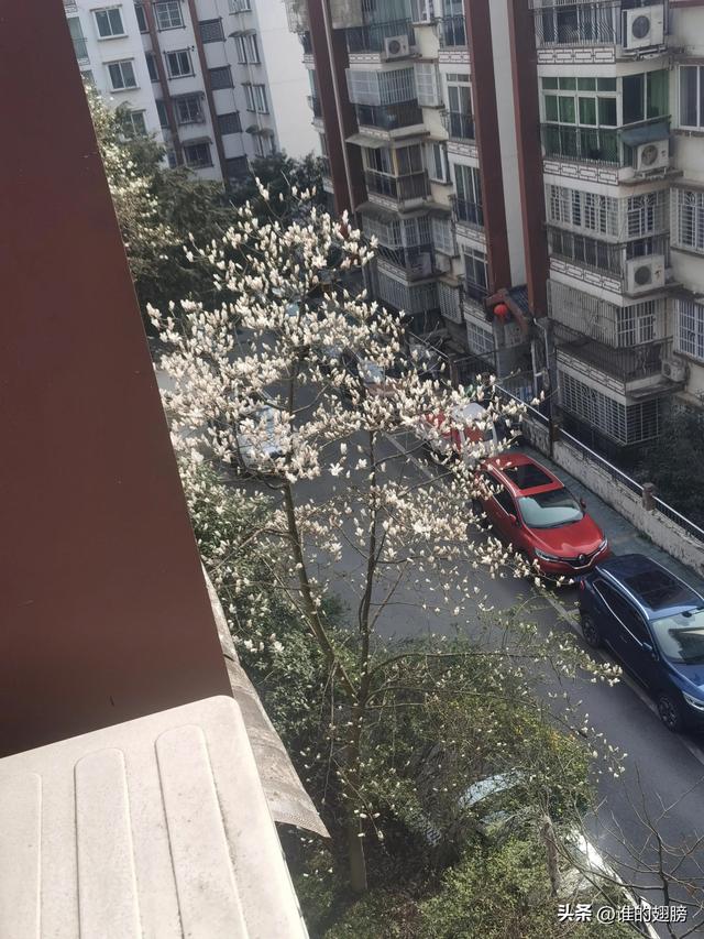 招商文案朋友圈素材，招商发朋友圈的精美句子
